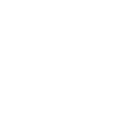 VigGS