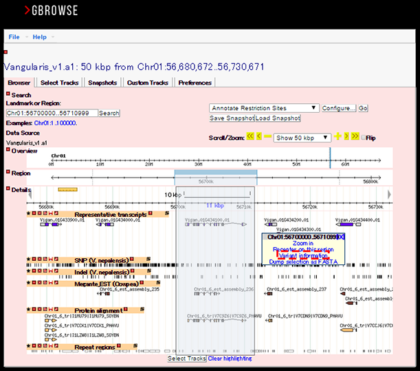 Variant_gbrowse